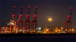 Salon Honorable Mention